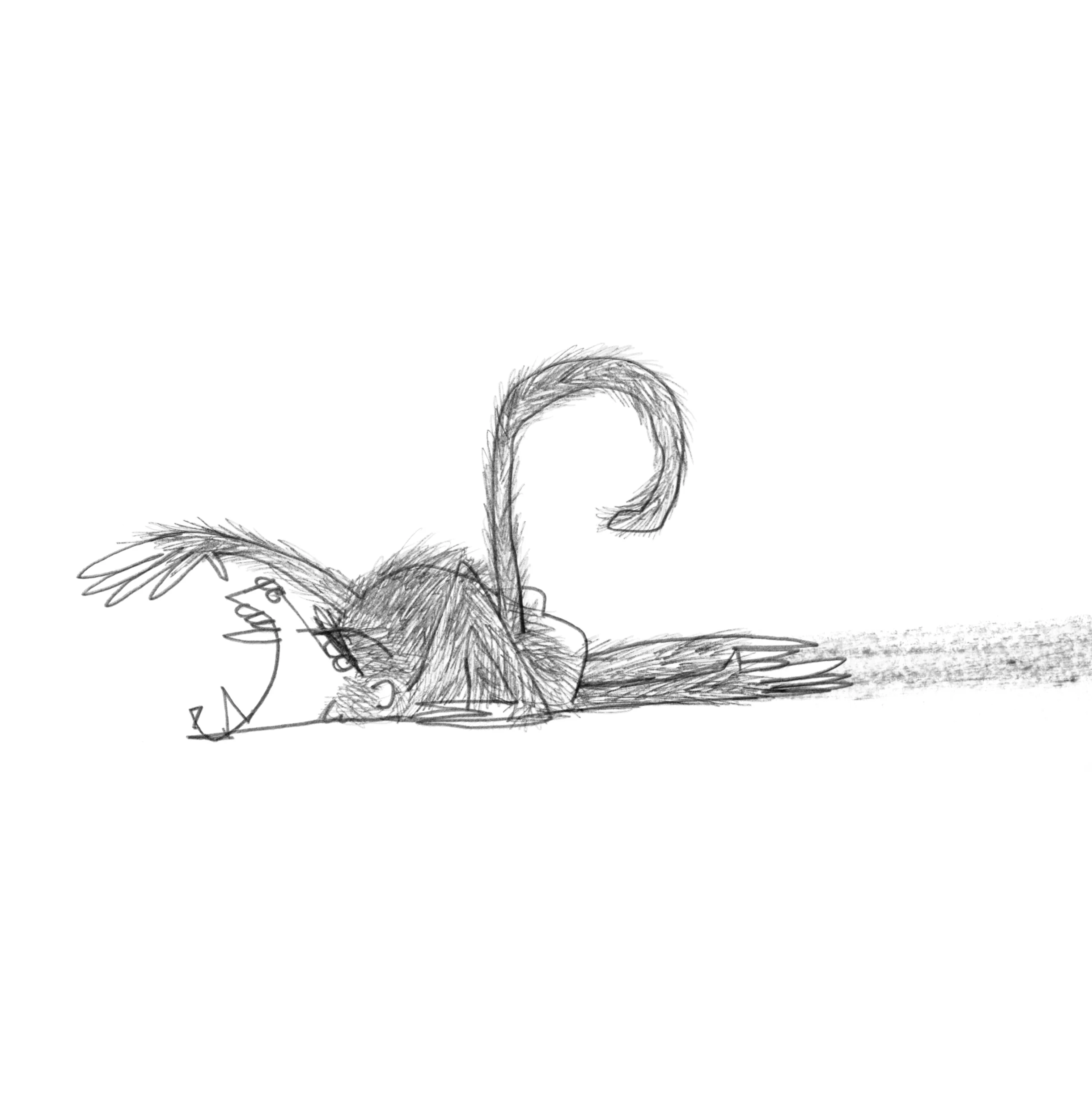 baboon 3.fin.jpg
