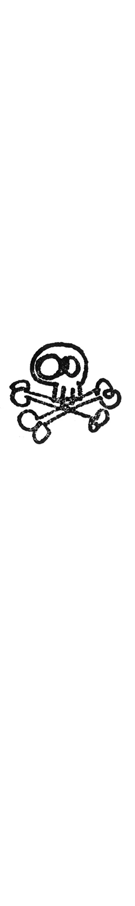 skull & crossbones.jpg
