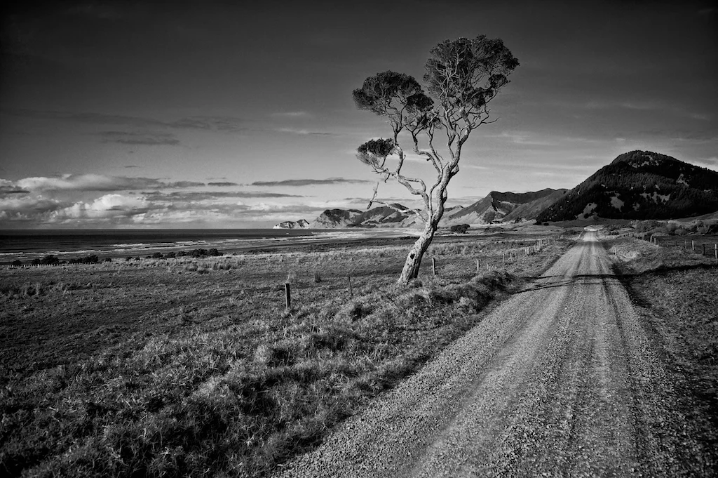 35mm summicron f/2 asph To-the-Cape