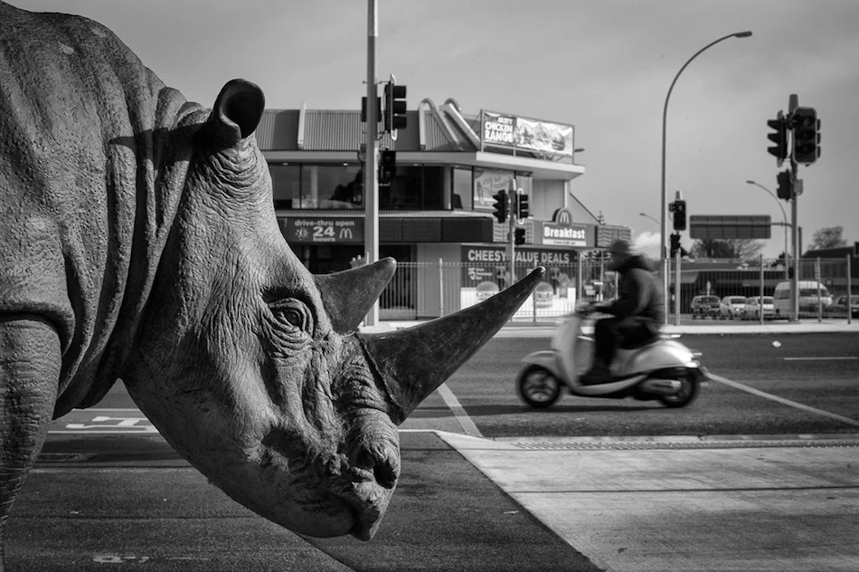 L1002289-Edit