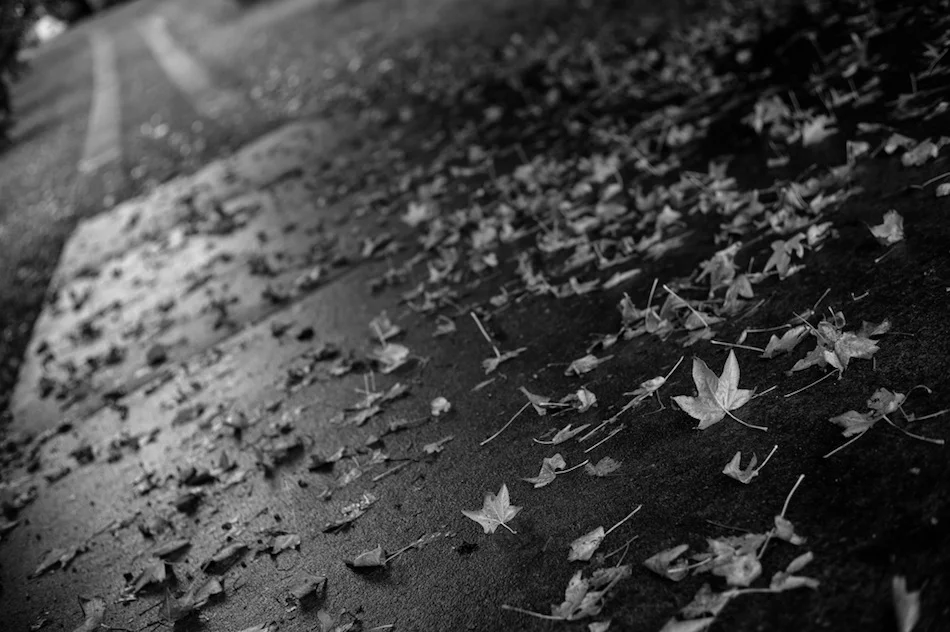 L1004522-Edit