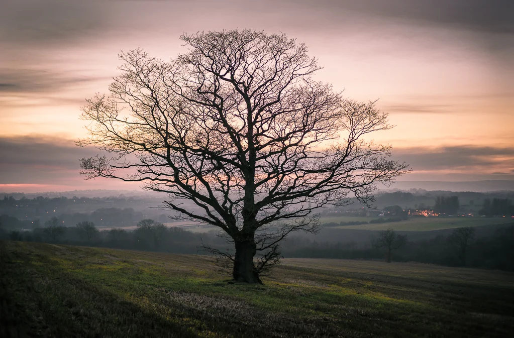 The Old Country