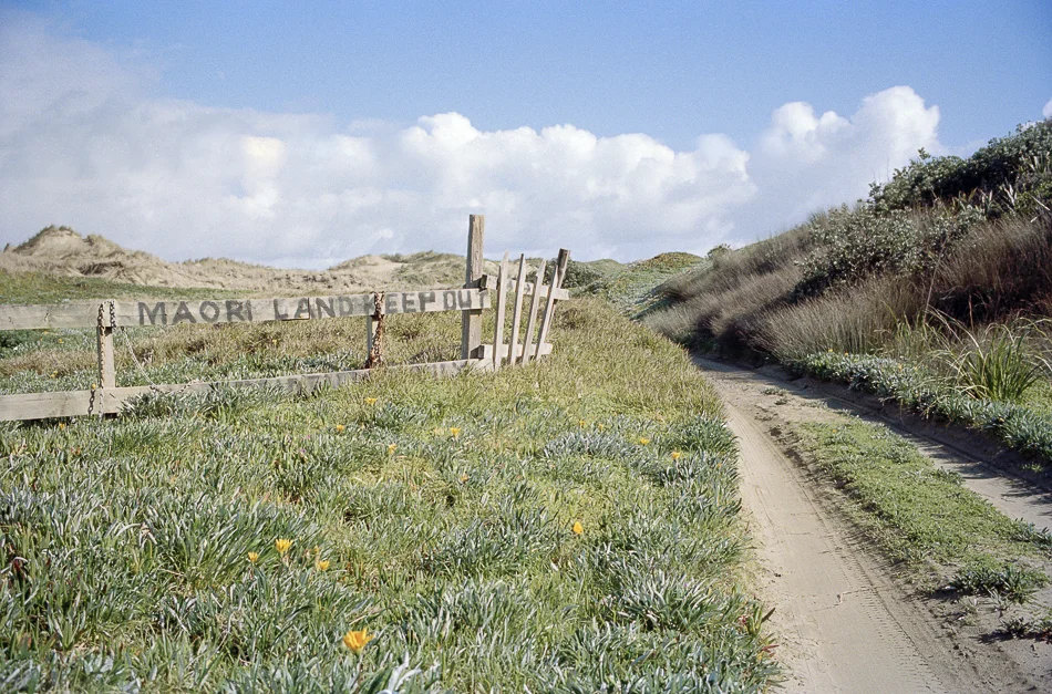 Leica Film Camera 12