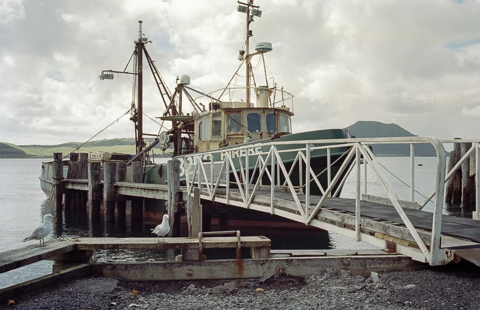 Leica Film Camera 24