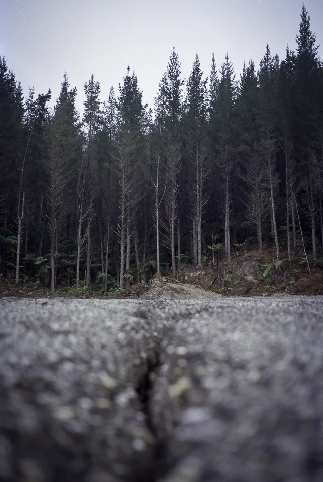 The Last Post analogue photography 7