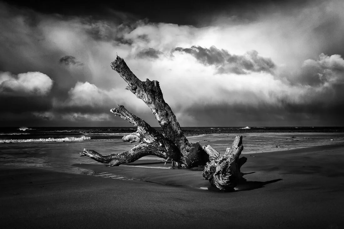 The Gathering Storm