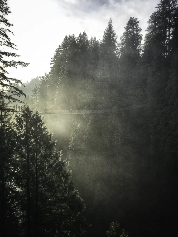 The Reluctant Photographer - Capilano Bridge.jpg