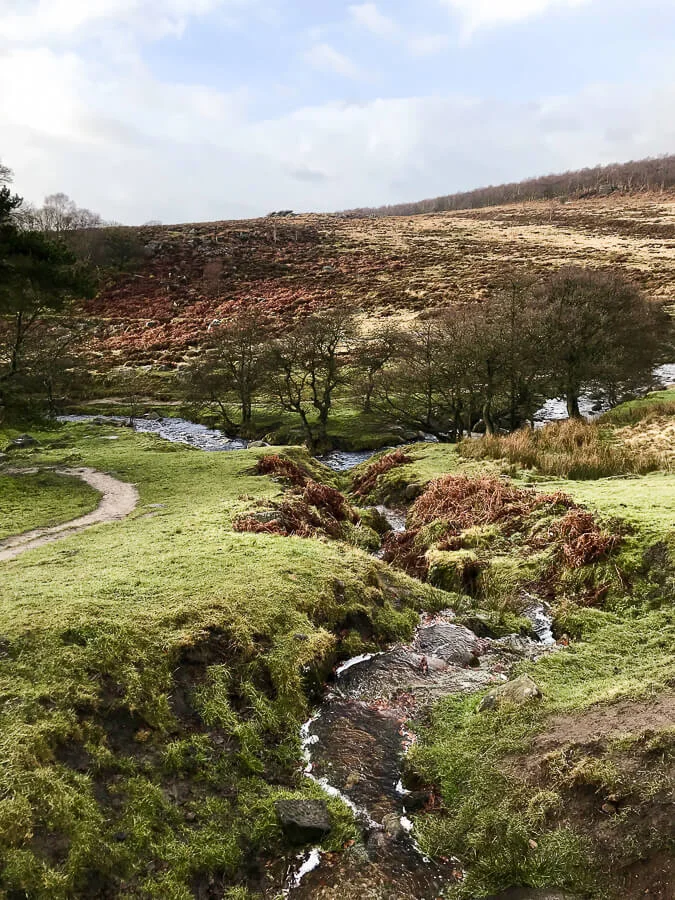 The Reluctant Photographer - Burbage Brook.jpg