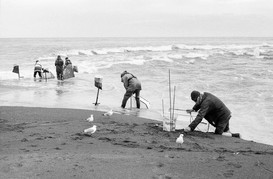 Fuji Neopan 400 - Whitetbaiters and seagulls.jpg