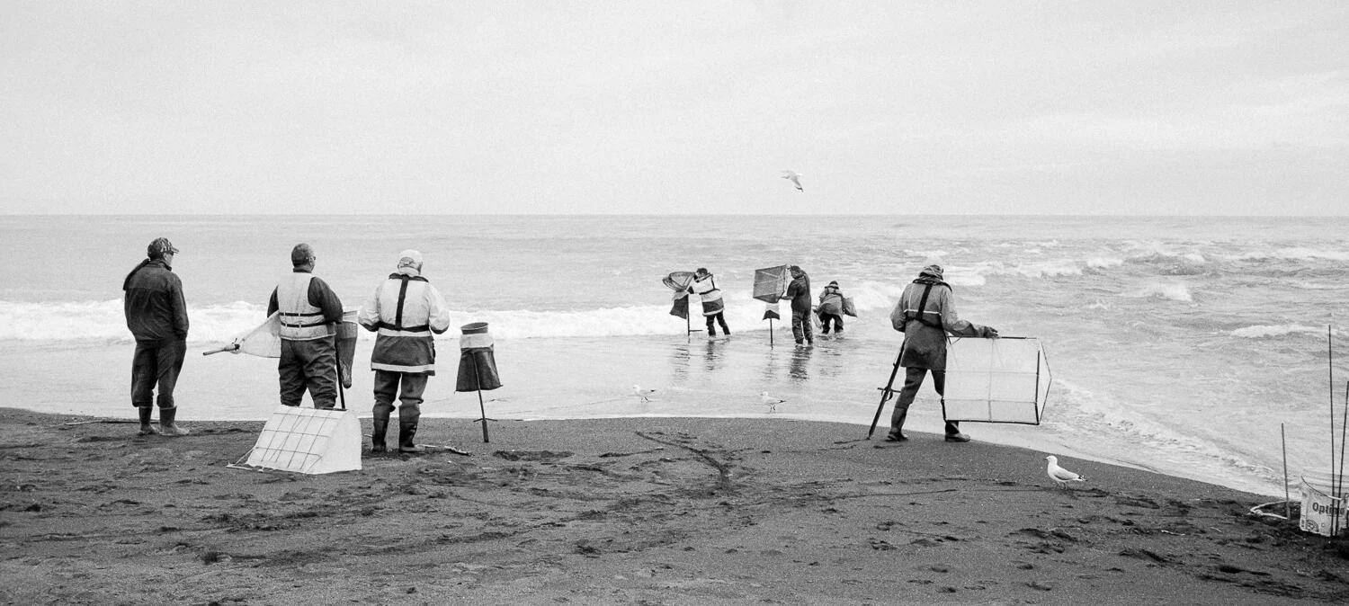 Whitetbaiters - Click to Enlarge