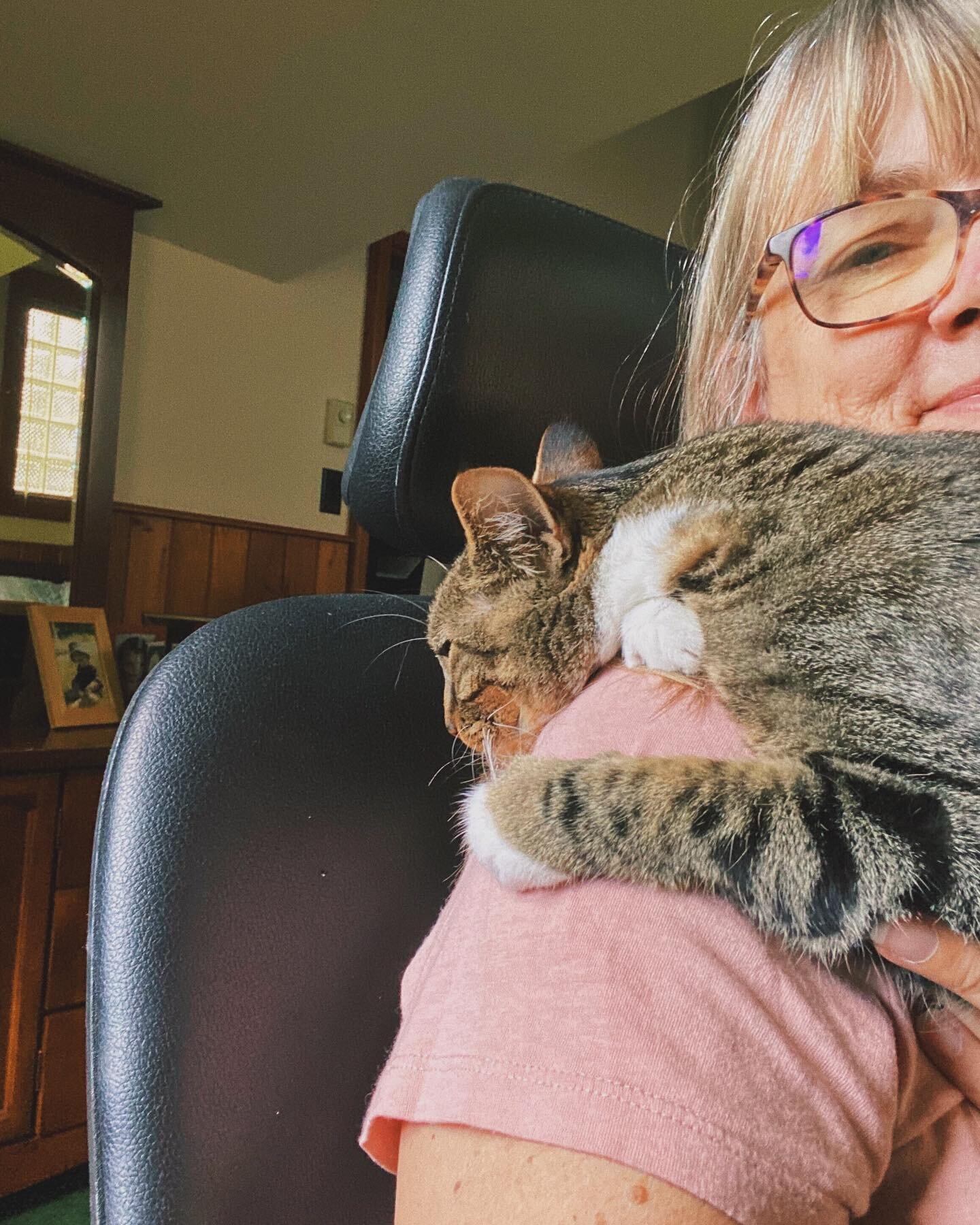 Some days the office interns get a bit too needy. Clearly we need to give them some more tasks! 😹

#officeinterns #officecat #workfromanywhere #catsofinstagram #officepet #365daymedia