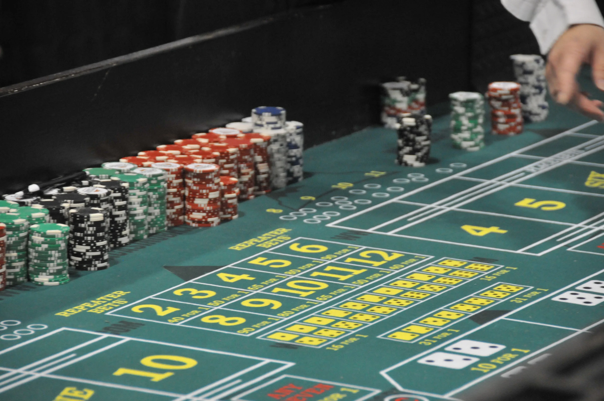 DSC_4238-blackjack.jpg
