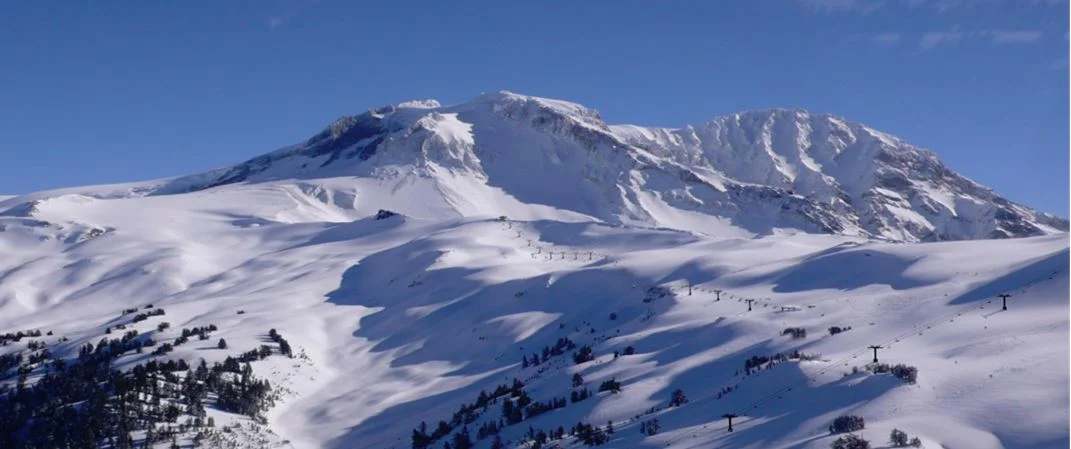 40 Environmental Conditions to a Better Year-Round Resort