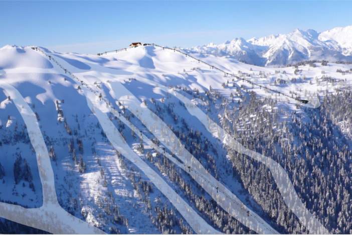 And the Survey Says - More Expert Ski Runs!