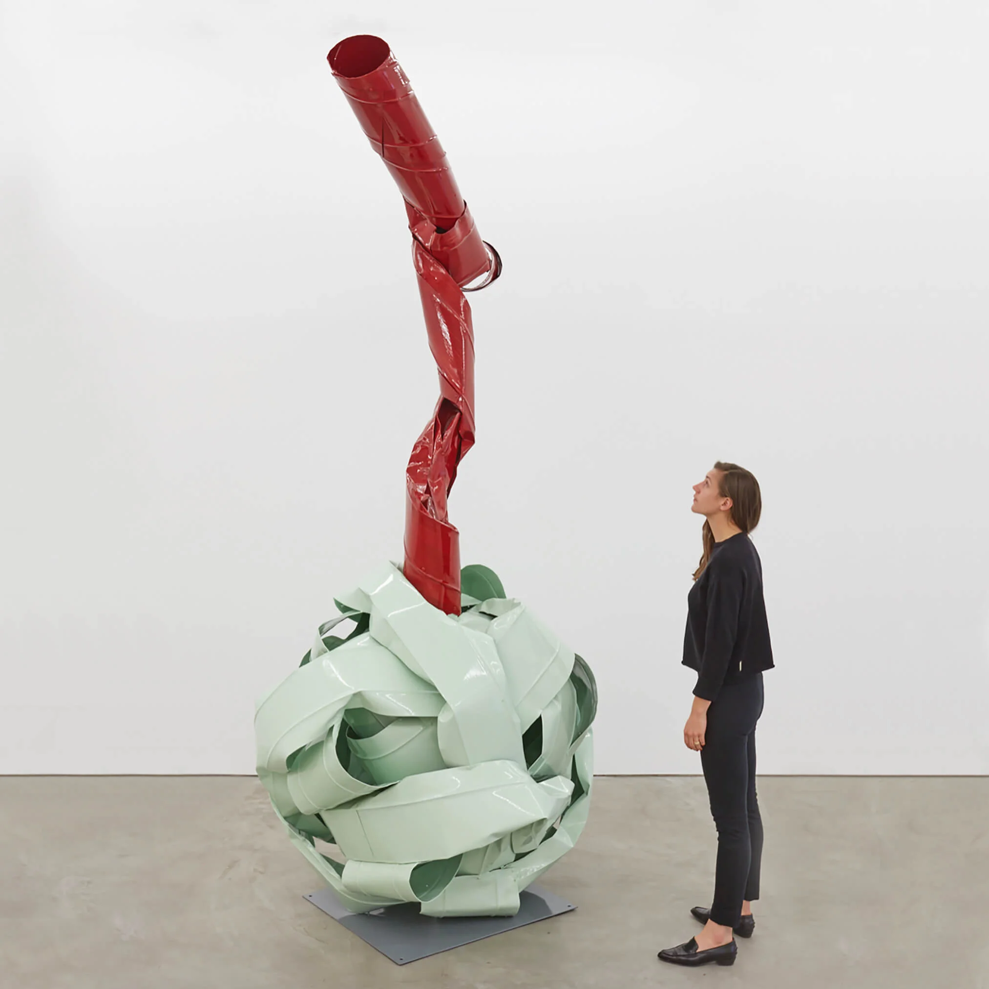 Anna Faushauer-Installation View.jpg
