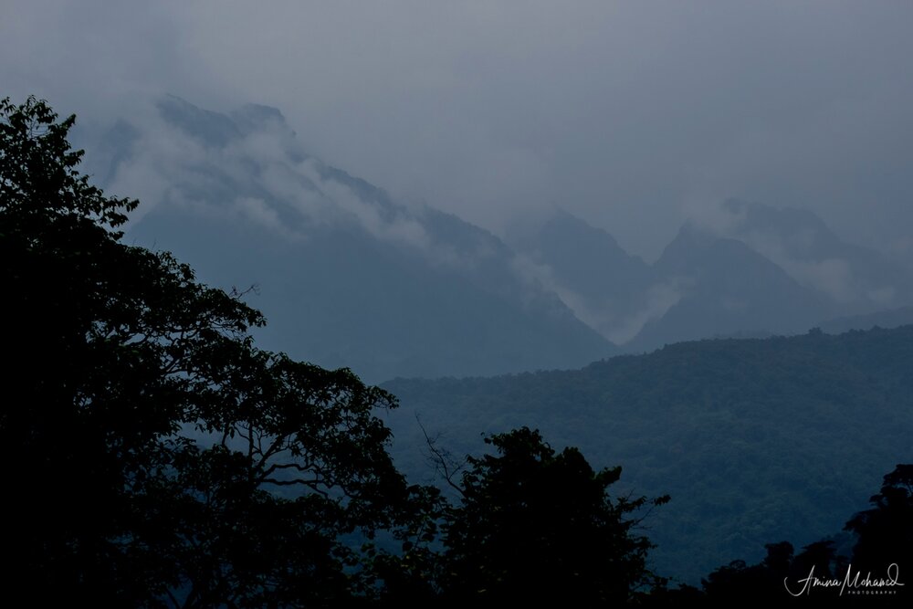 Why You Shouldn’t Miss The Rwenzori Mountains When Visiting Uganda — Triple F Photo Tours: Change Lives and Improve Your Photography On Our Photo-Tour to Uganda Why You Shouldn’t Miss The Rwenzori Mountains When Visiting Uganda — Triple F Photo Tours: Change Lives and Improve Your Photography On Our Photo-Tour to Uganda