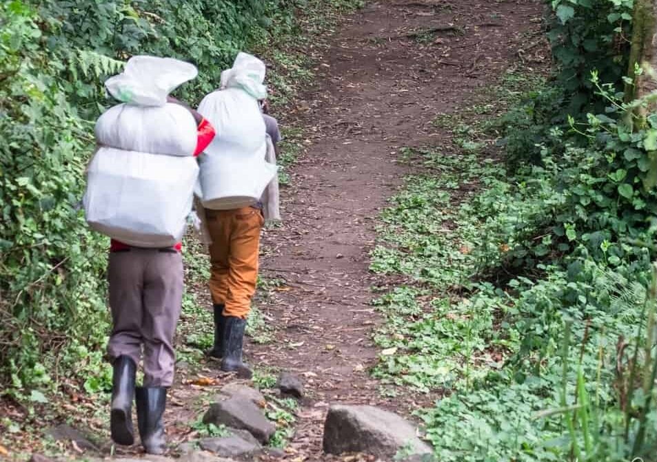 Porters hiking in Rwenzori Mountains @Amina Mohamed Photography
