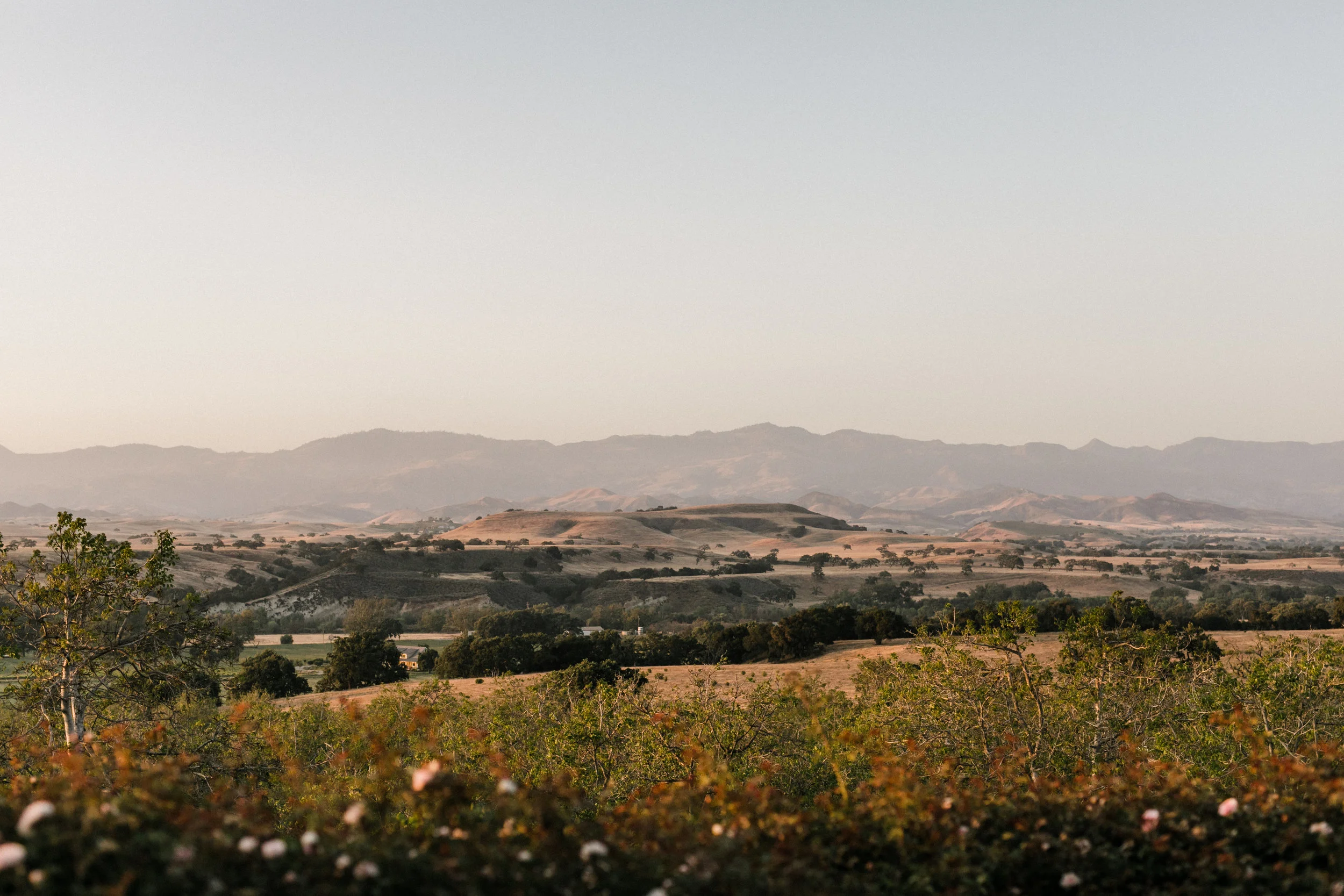 Views.jpg