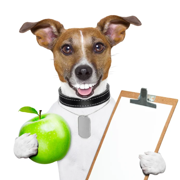 iStock_000025587735Small.jpg