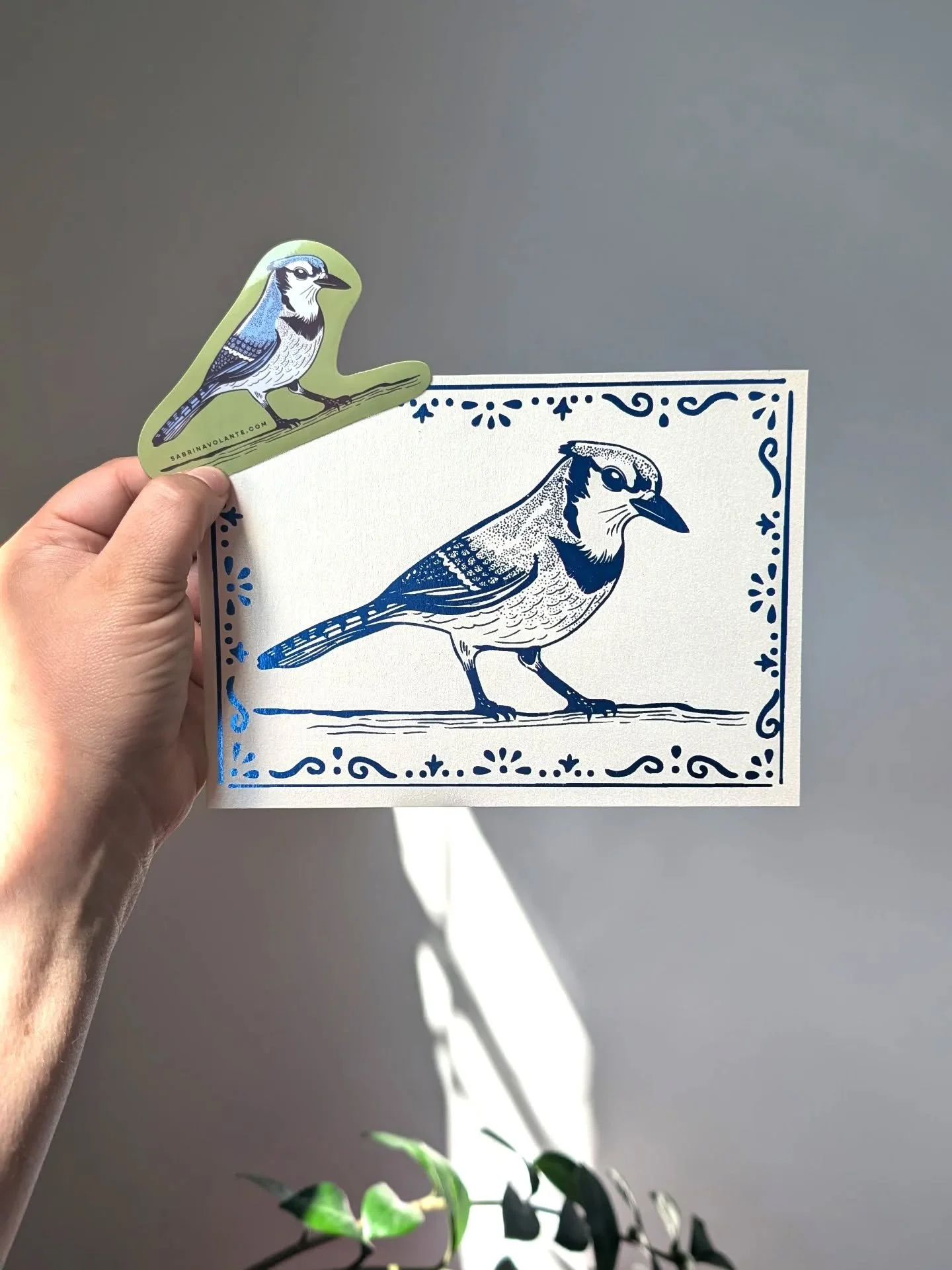 New art for Art of the Month Club subscribers! The theme for October is the lovely Blue Jay 🐦 Sign up on my Ko-Fi!