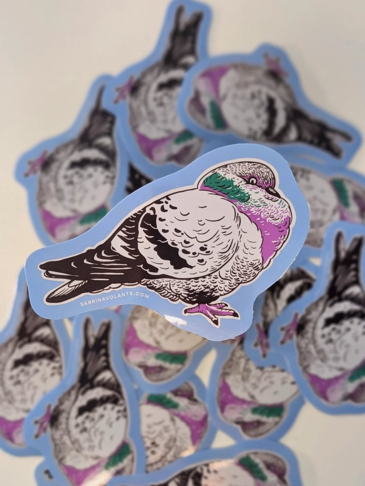 Two words: FAT. PIGEON. 🐦