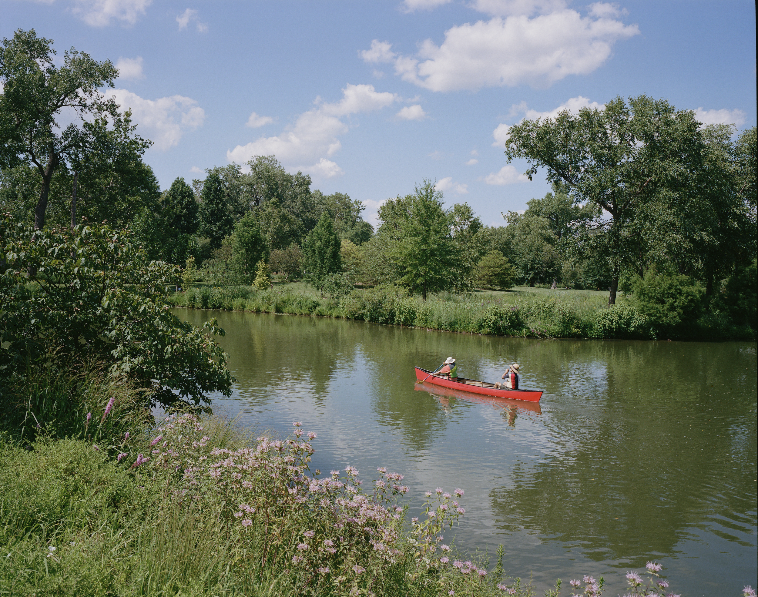  FOREST PARK - MAMIYA 7 | KODAK PORTRA 160 