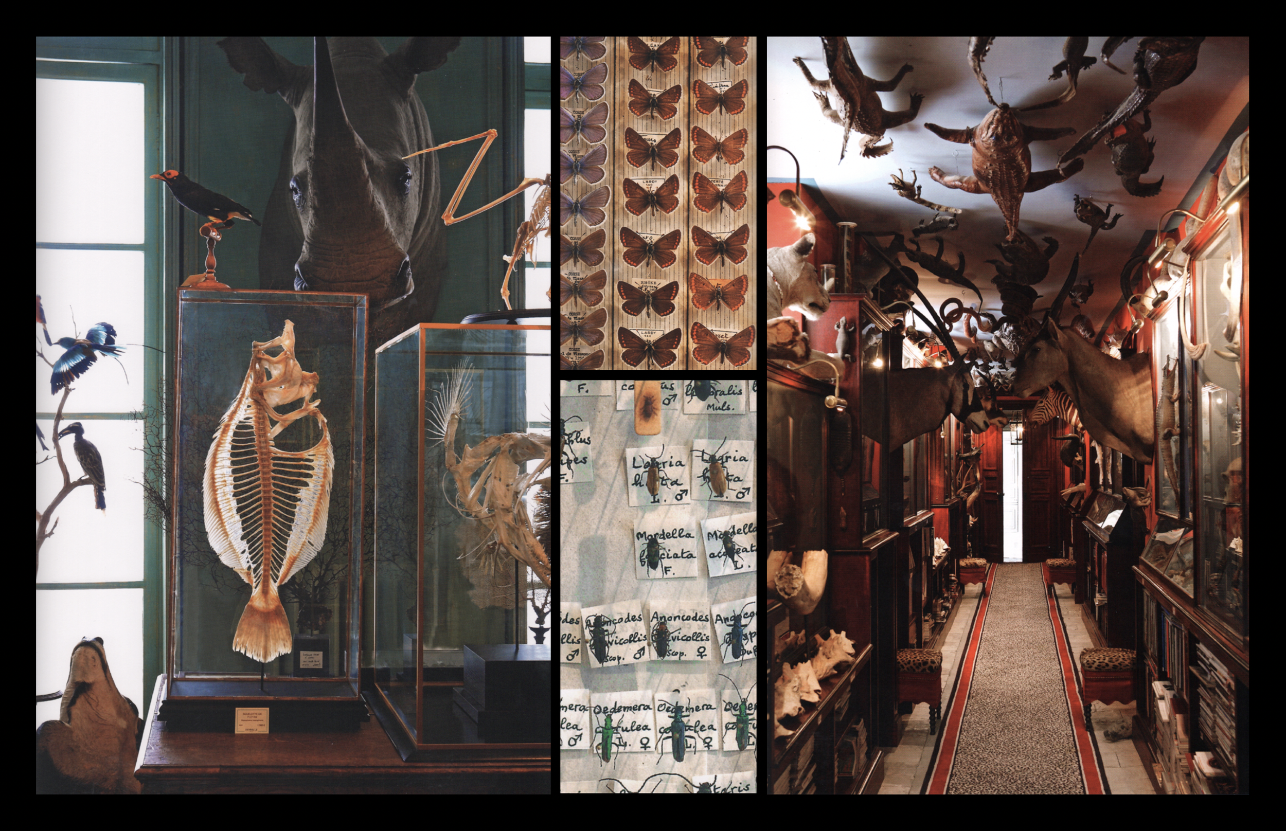  UPCOMING PRODUCTION DESIGN PROJECT #1 