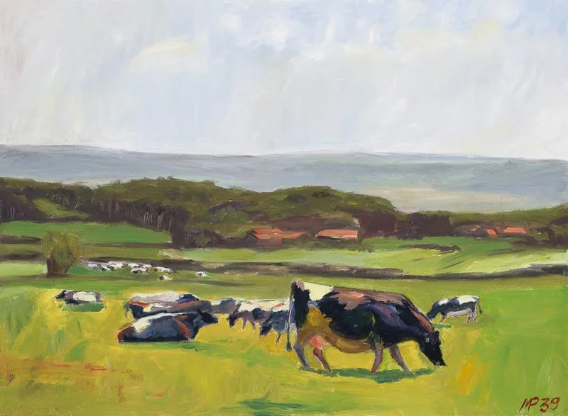 Cows