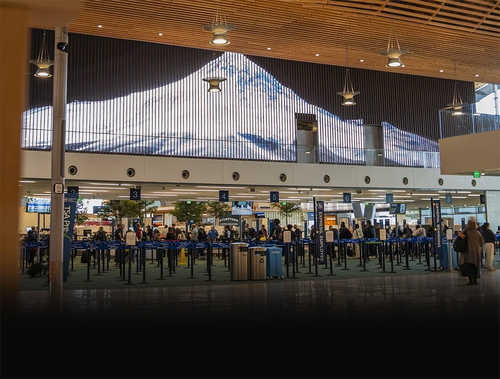 Extraordinary Windows