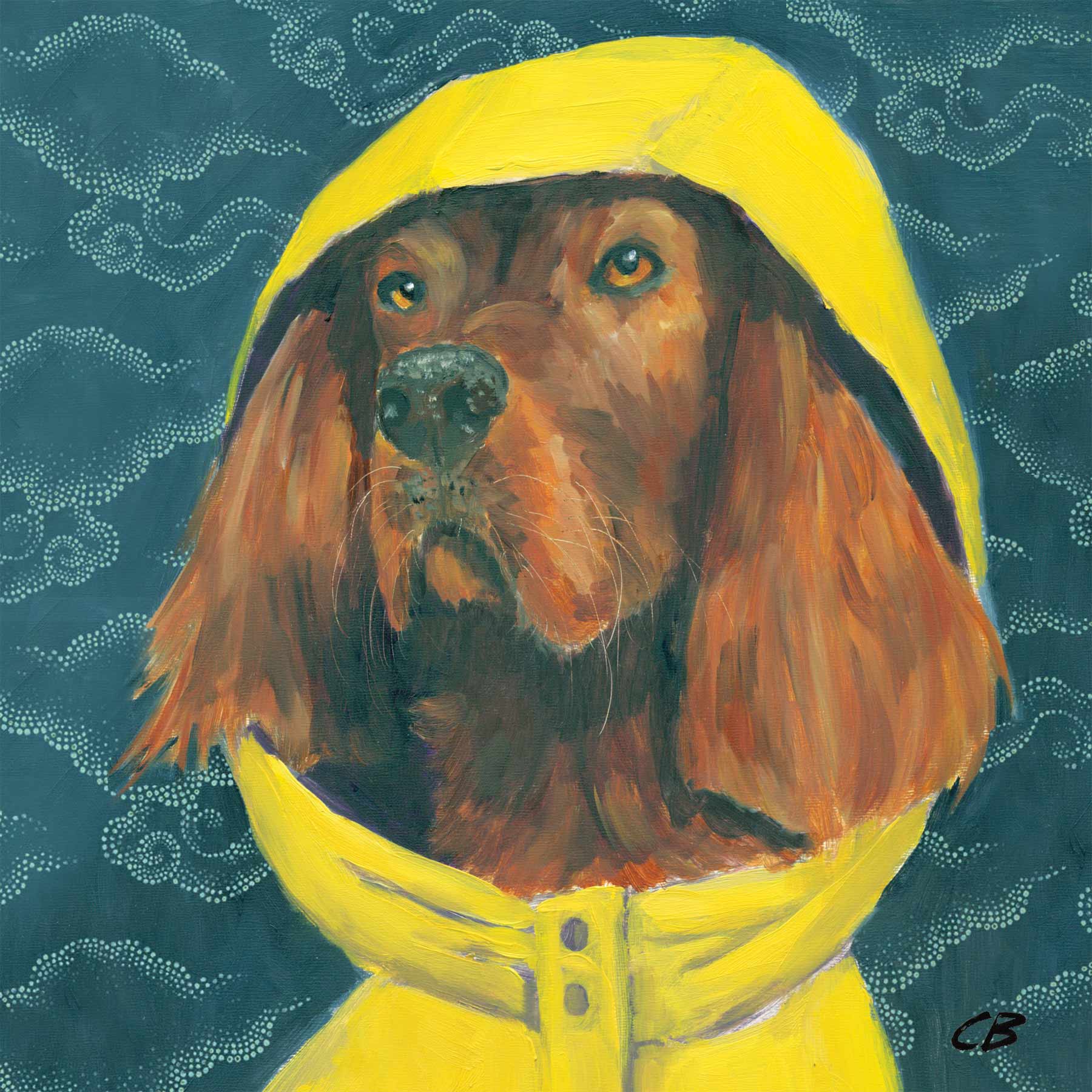Yellow-Rain-Coat_.jpg