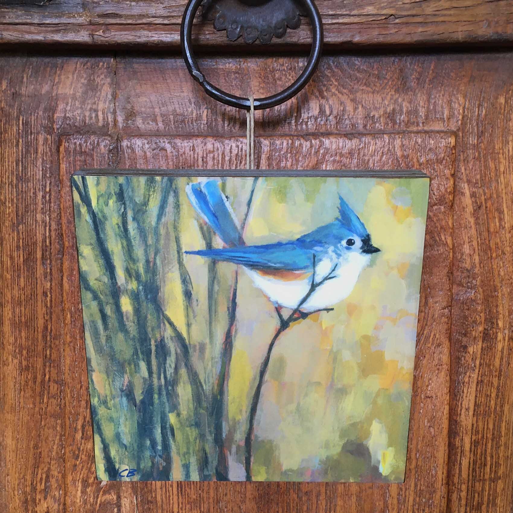 Titmouse_still.jpg