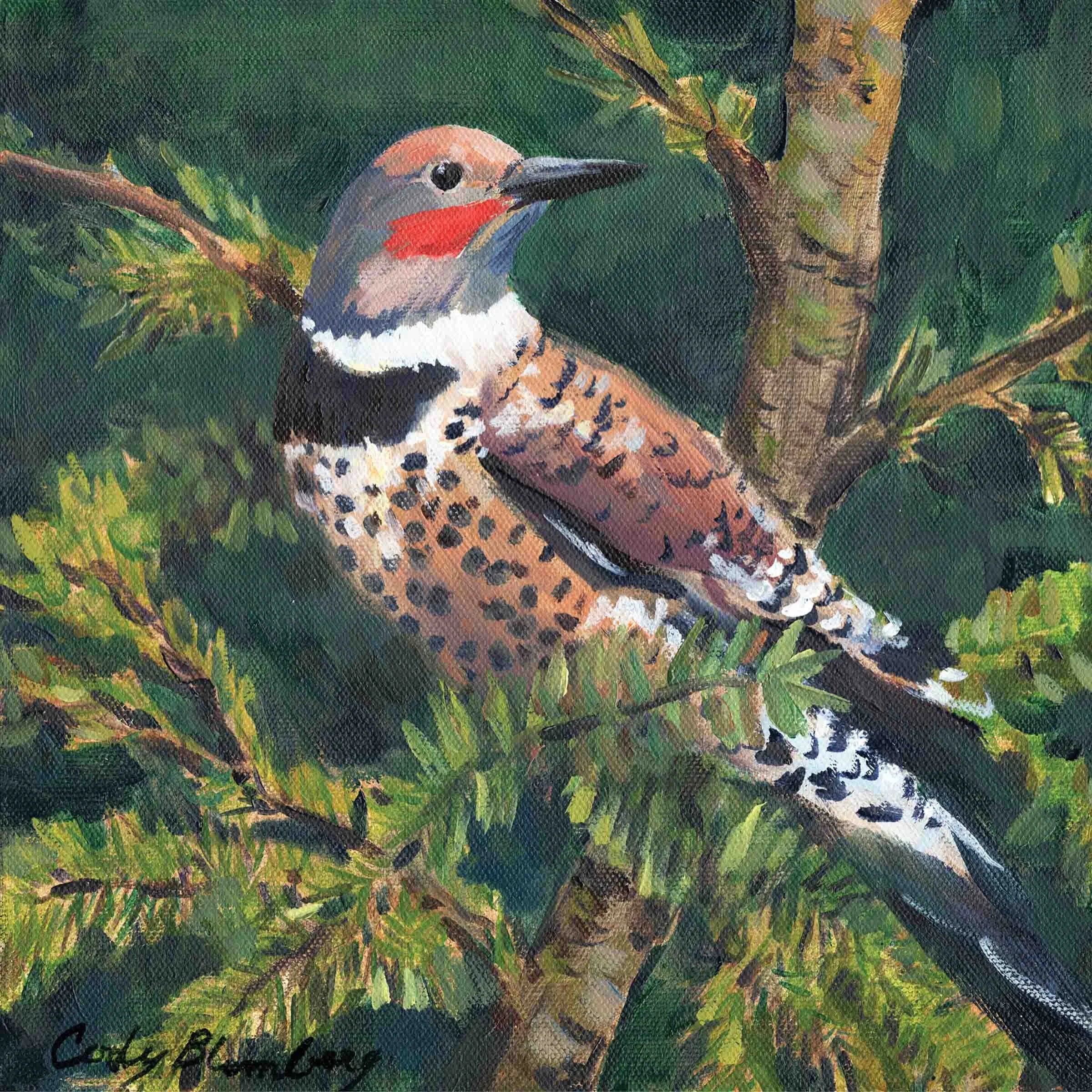 Flicker_C293.jpg