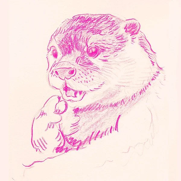 Oh_my_otter-2.jpg
