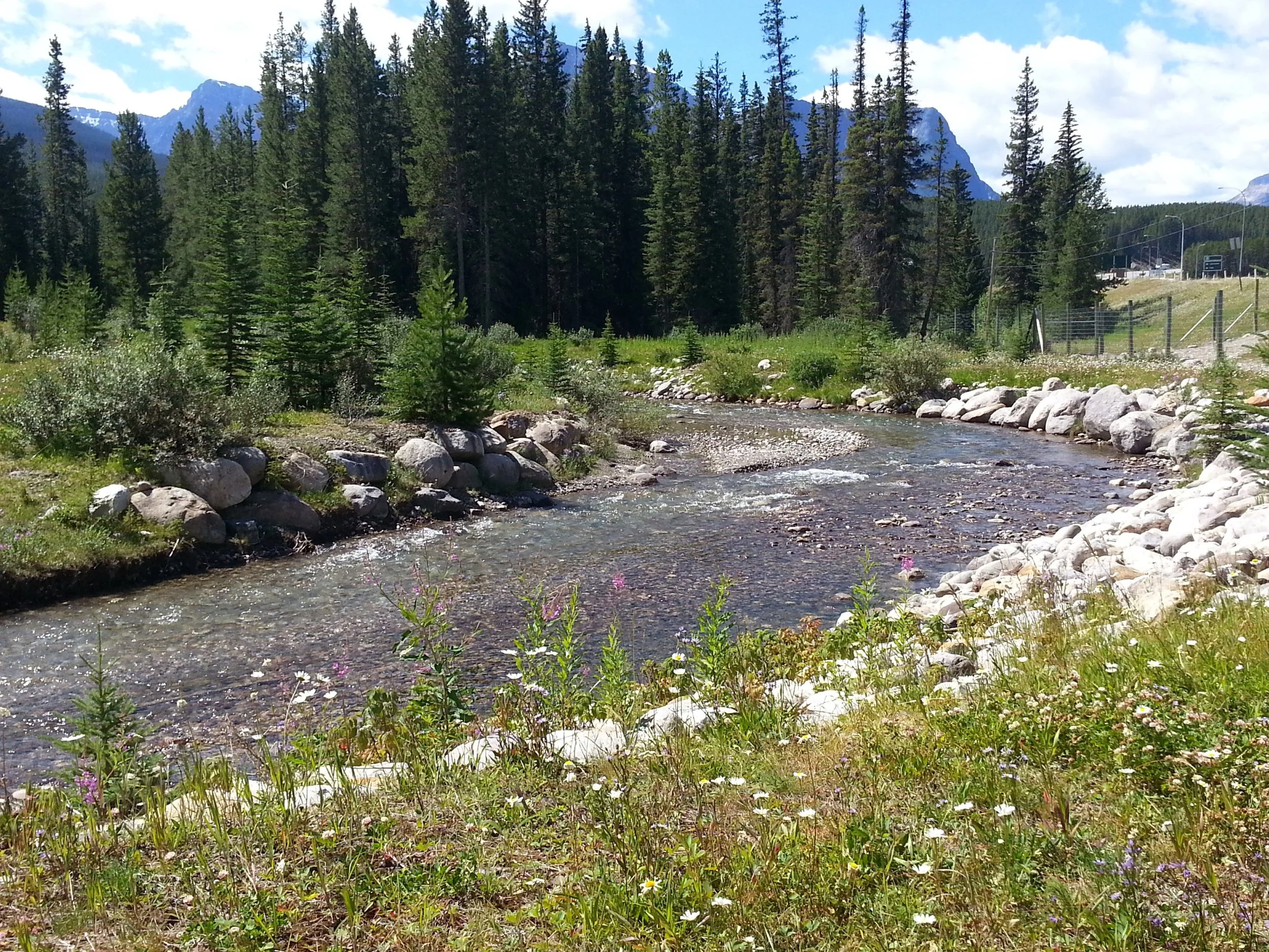 20130730_125410.jpg