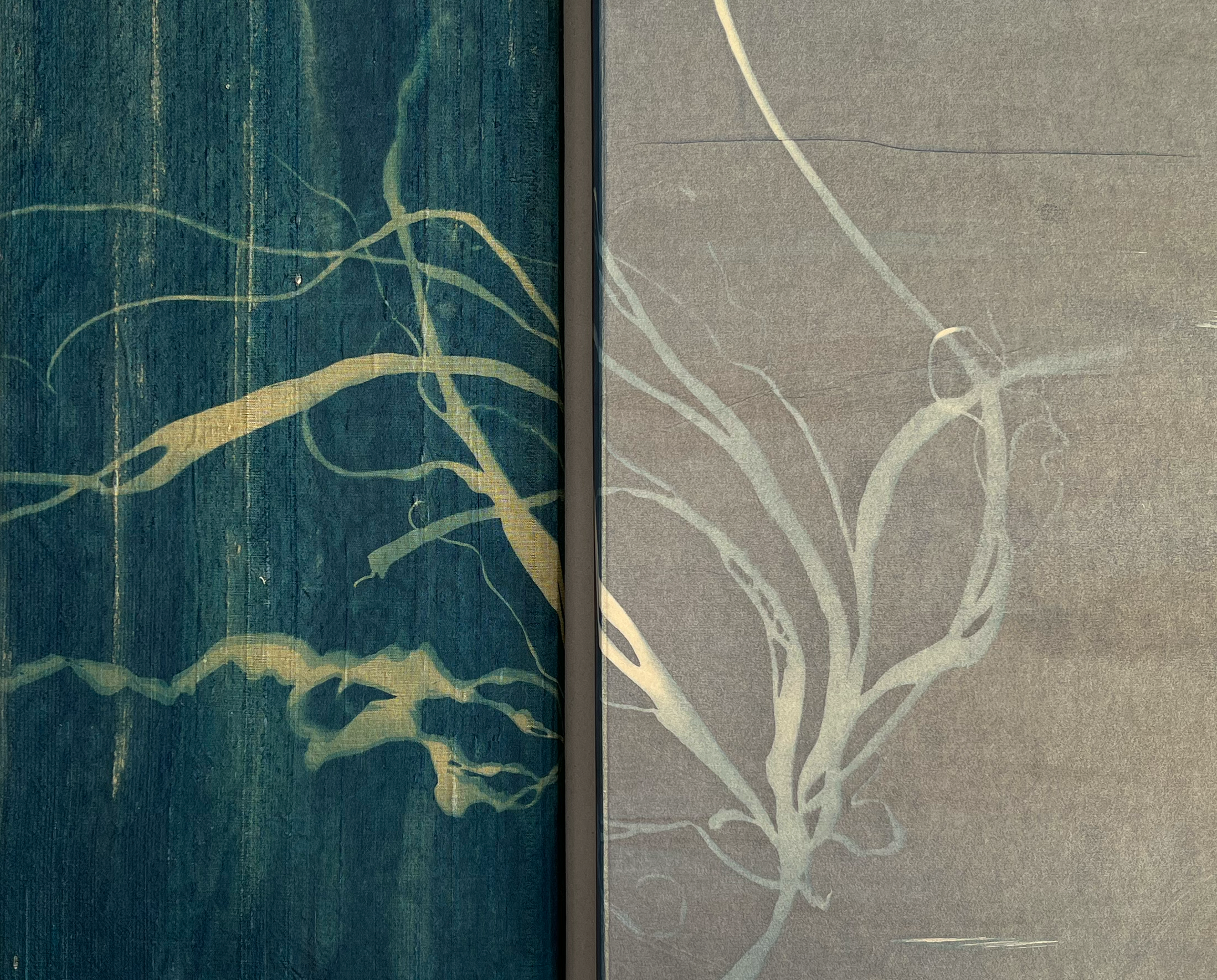 Thumbnail IMG_5357.png