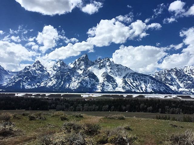 Spring in the Tetons! Patiently awaiting summer and sunshine.