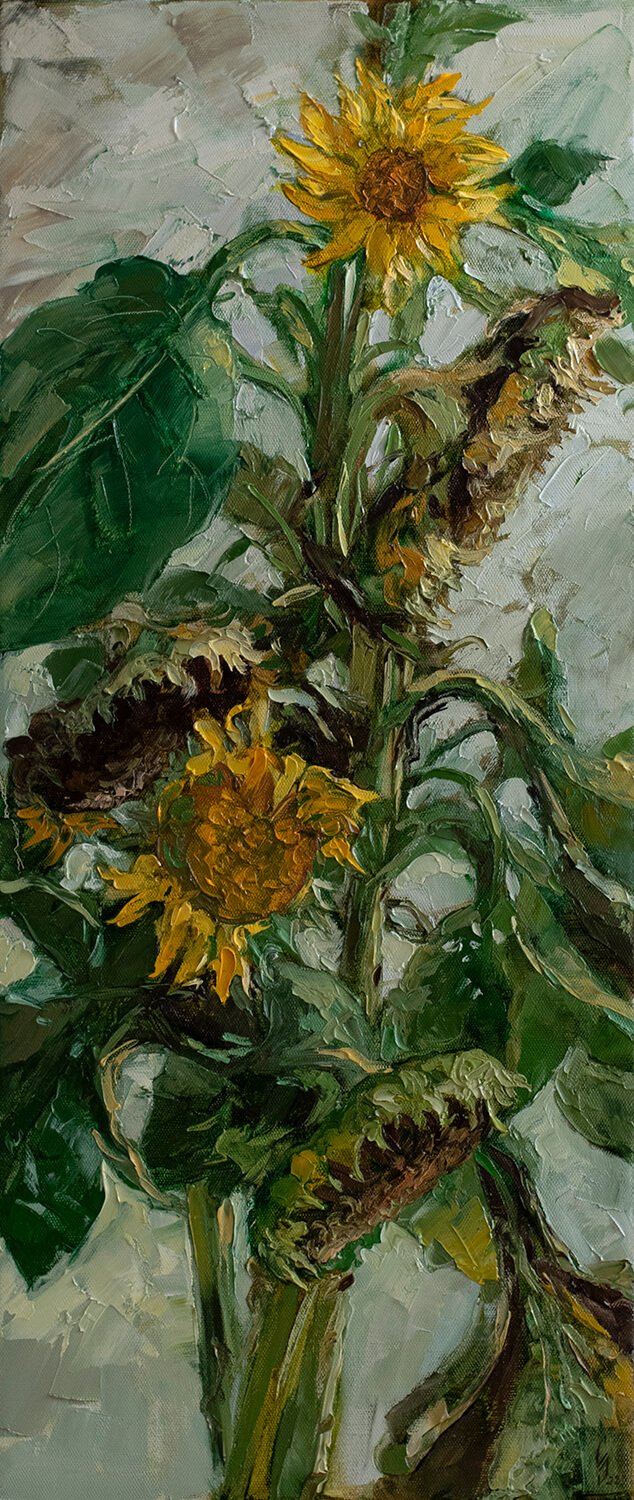 Sunflowers, end of summer.