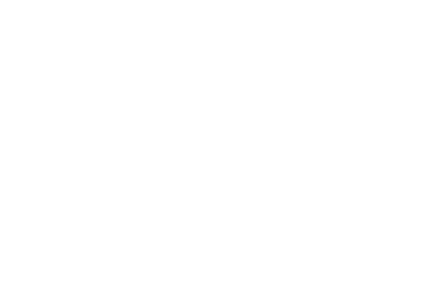 PI_white_logo copy.png
