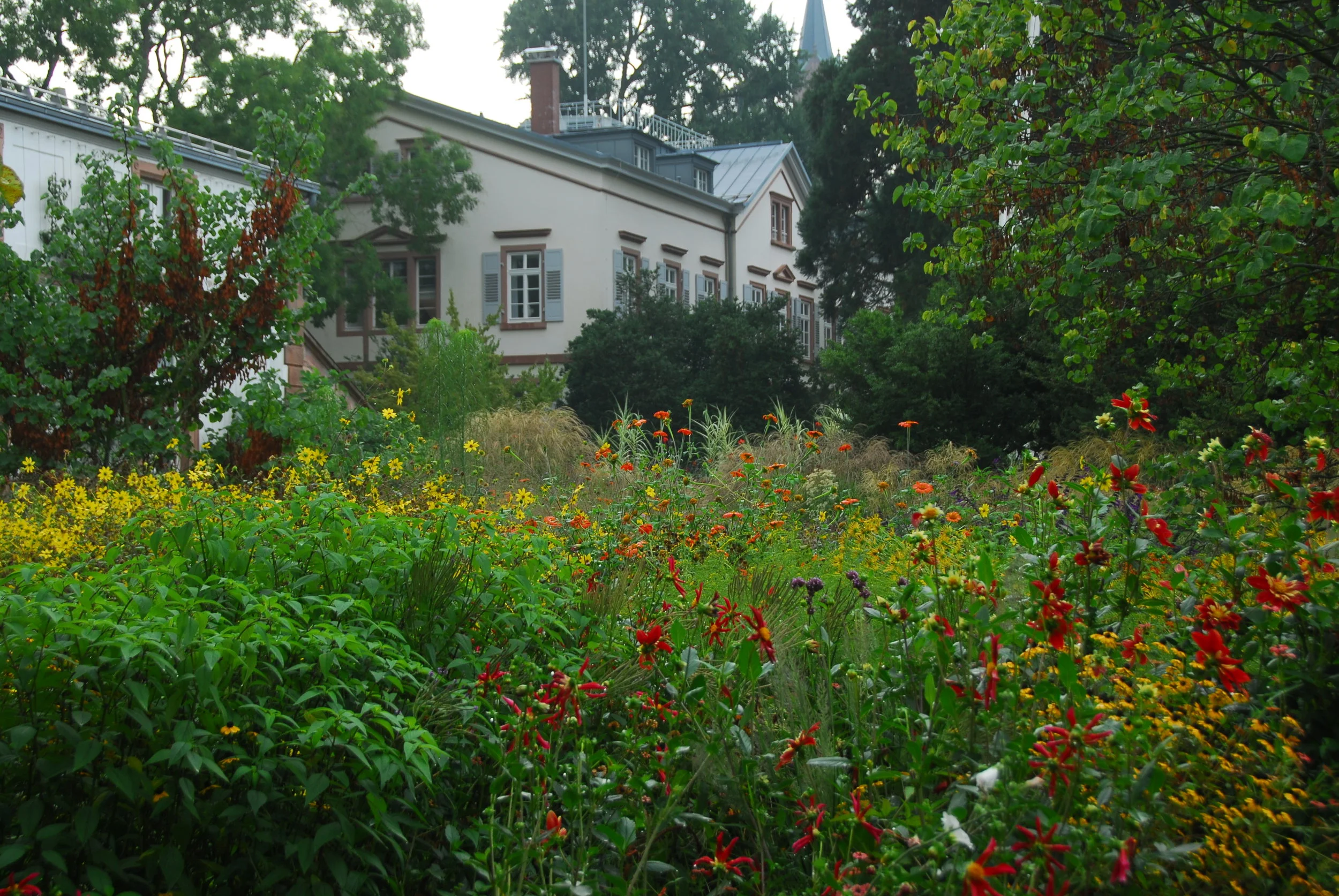 HERMANNSHOF “How can four acres of garden so emphatically undermine and rewrite so many of our garden assumptions. It beats me! But Hermannshof manages it, mastering many different types of gardening on one site, and recording every last detail of the care and maintenance required for the benefit of other garden-makers.”