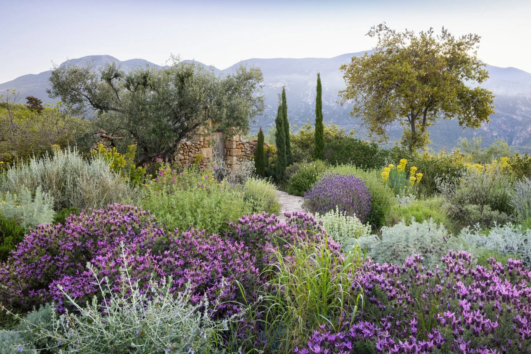 ilias-gardens-3-2024-scaled.jpg