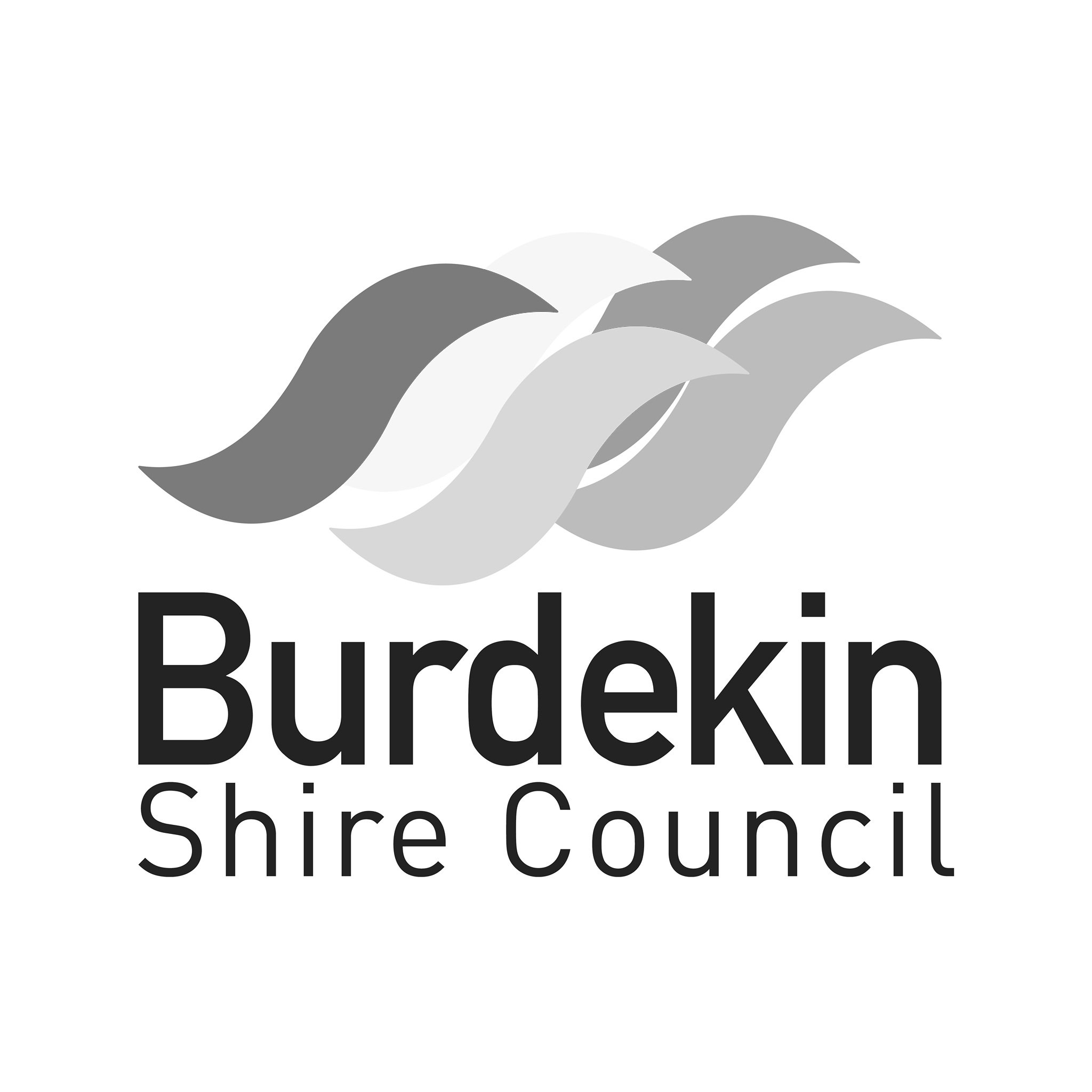 burdekin+shire+council+logo.jpg