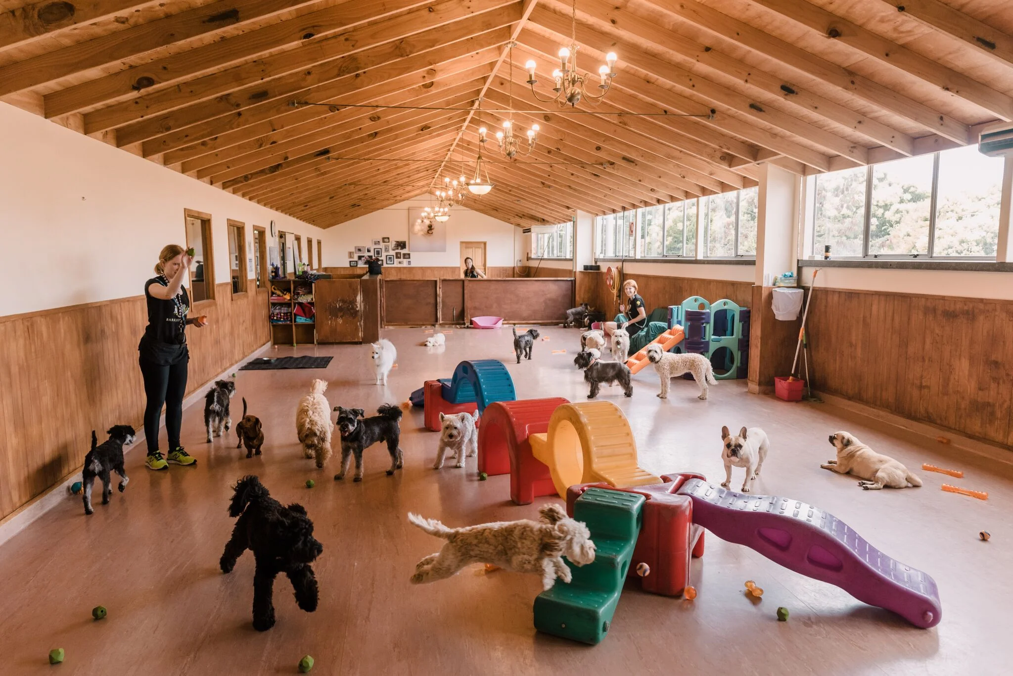 Tiny Tots - Ball Time