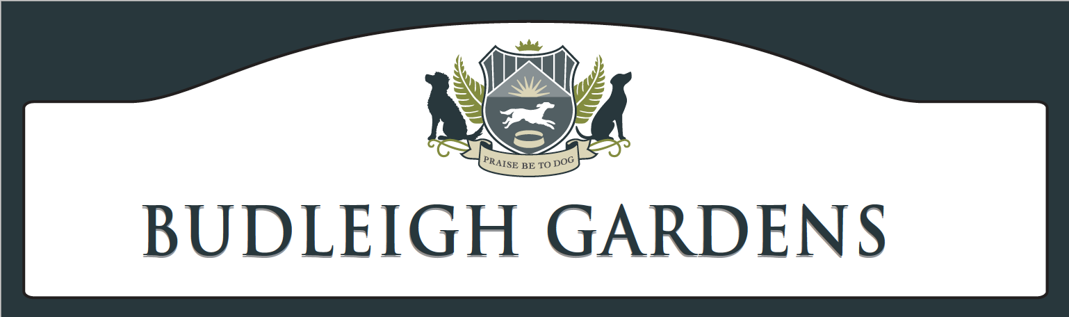 Screen Shot 2019-01-23 at 7.22.50 pm.png