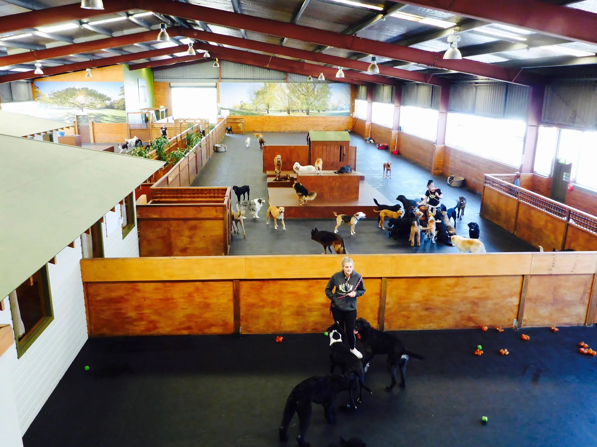 main room 1.jpg