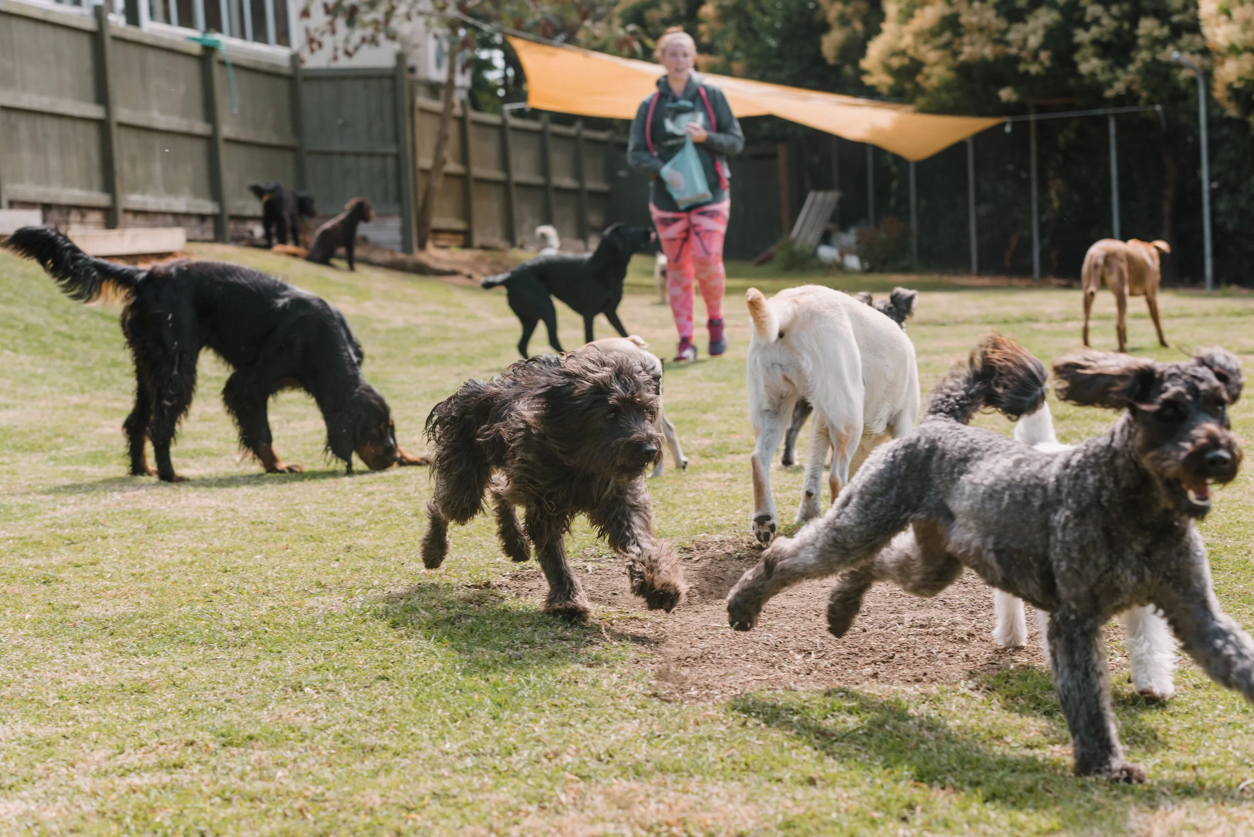 budleigh kids outside.jpg