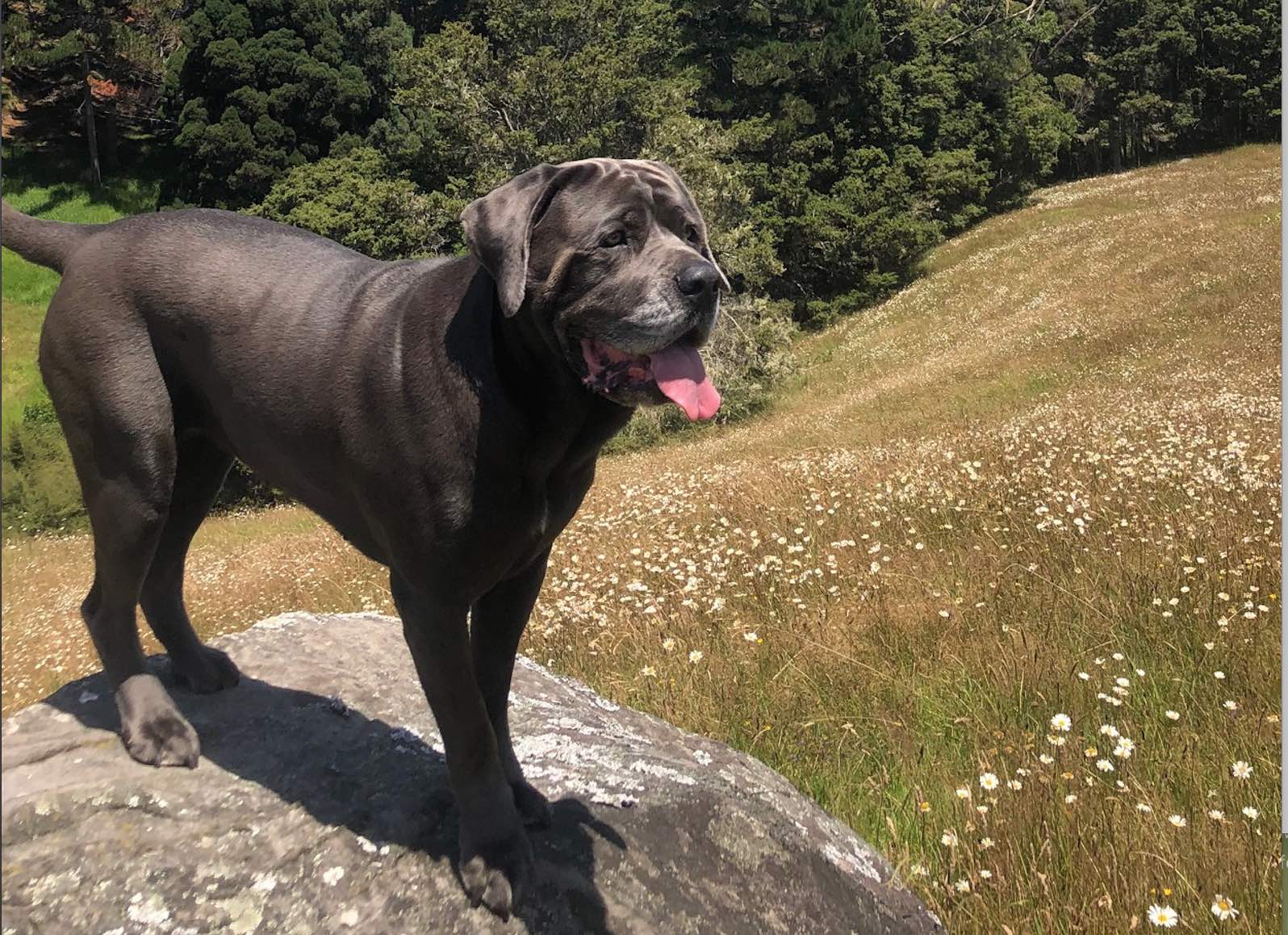 lucy horizontal barkour.jpg