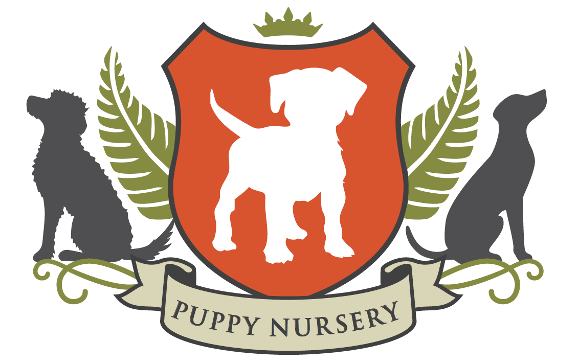 Screen Shot 2020-03-17 at 7.10.12 PM.png