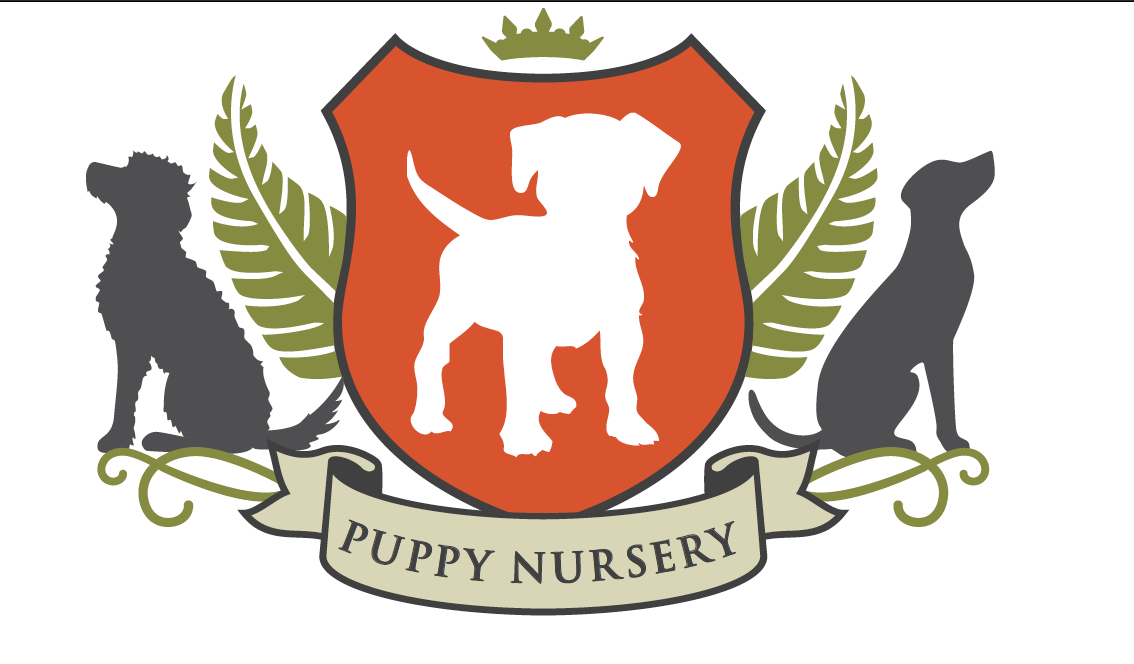 puppy-daycare-and-puppy-training-at-barkley-manor-puppy-nursery-auckland.png