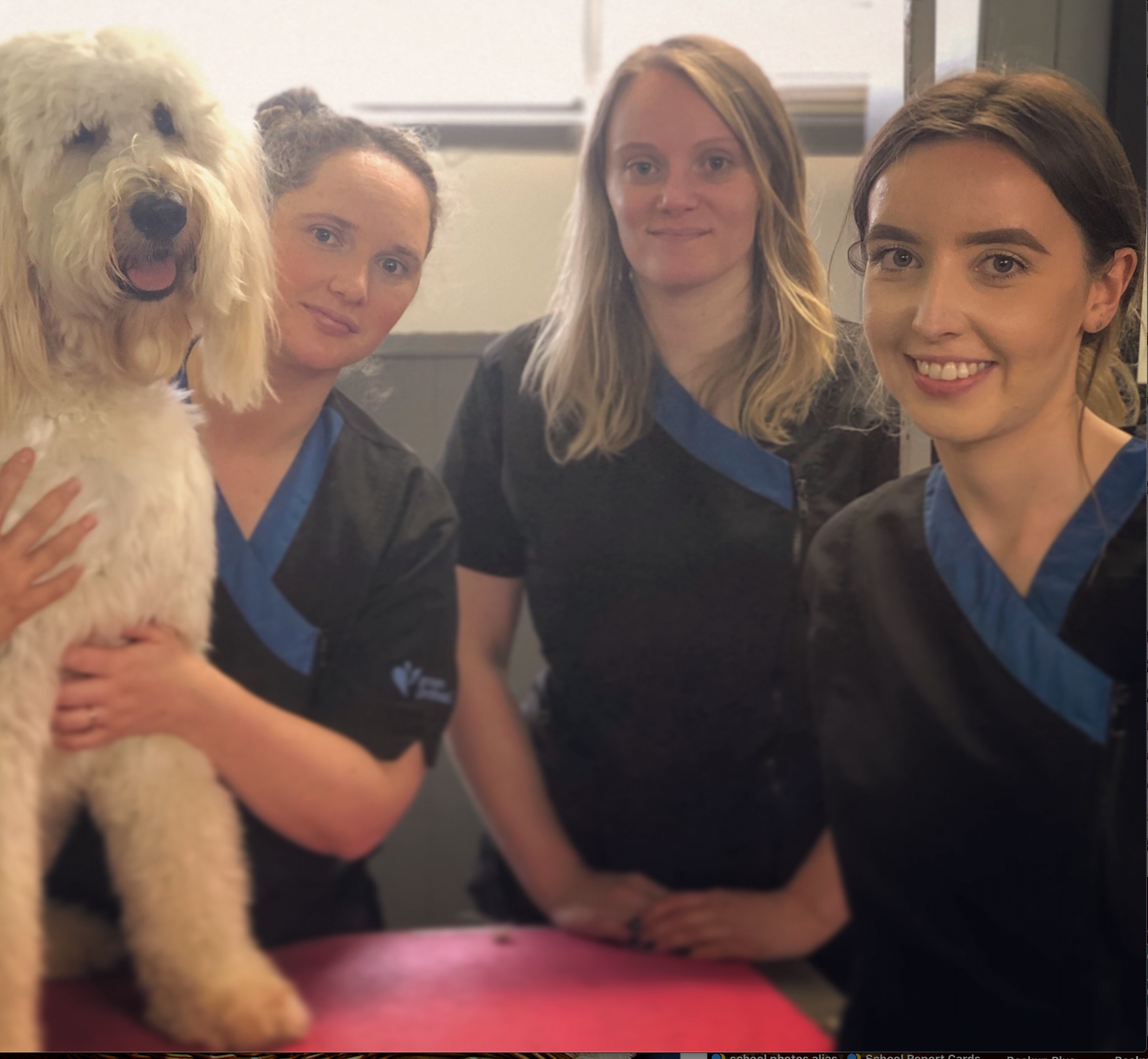 Screen Shot 2020-10-21 at 4.01.23 PM.png