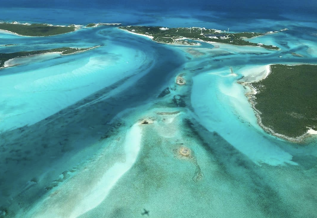 Screen Shot 2021-03-28 at 8.42.08 PM.png